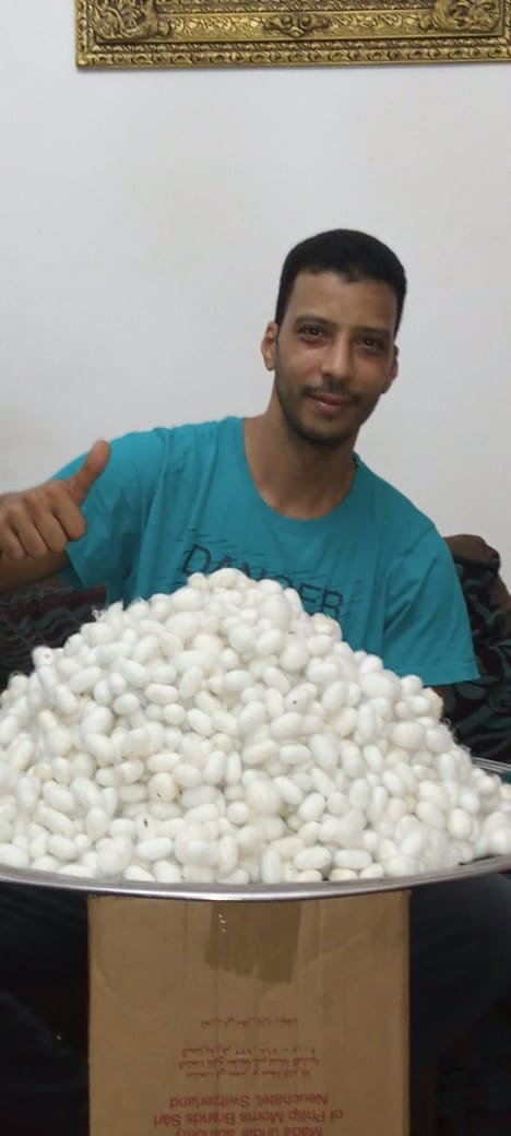 اسلام اسكندرية